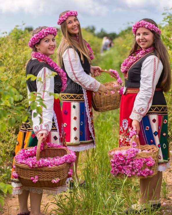 Българите въвеждат двойната дестилация и правят първия износ на розово масло