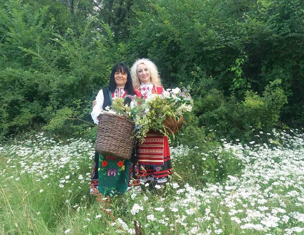 Сплетоха венец от билки, брани край тракийските могили „Хелвеция“, „Грифони“ и „Шушманец“