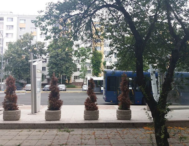 Вижте какво стана с декоративните храсти, засадени по бургаските автобусни спирки