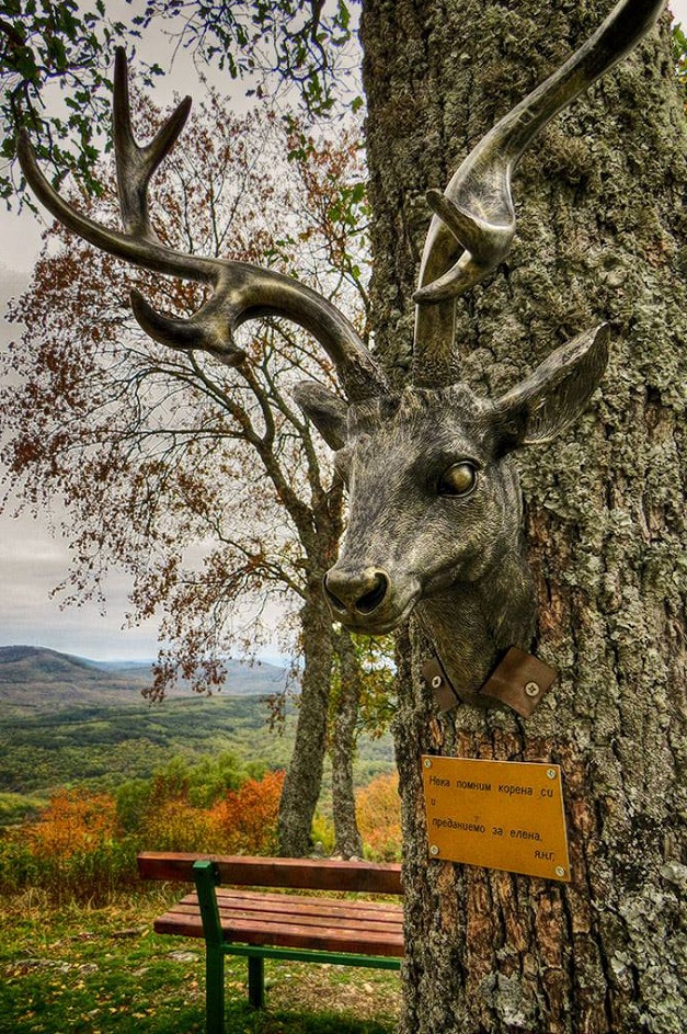 Старо предание за елен допълва мистериите на легендарното ивайловградско село Хухла