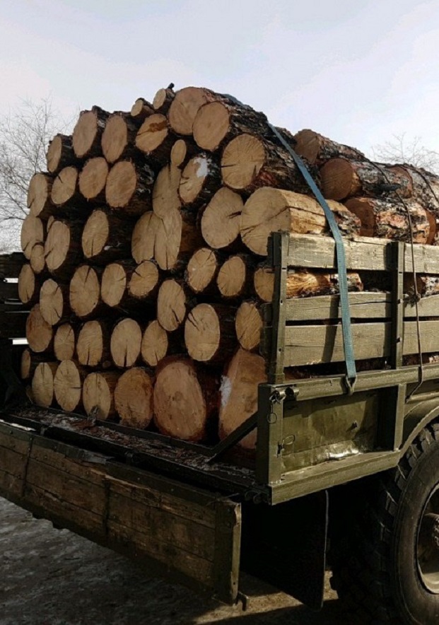 Ново приложение на Изпълнителната агенция по горите дава възможност за проверка на превозни билети от временен склад