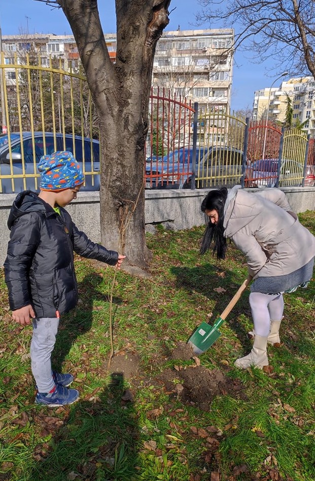 Деца от в детска градина „Звездица-Зорница“ в Бургас засадиха люляци в двора на учебното заведение