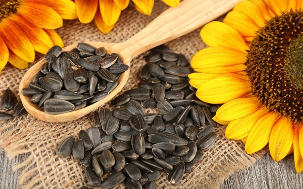 Русия въведе забрана за износ на семена от слънчоглед и рапица