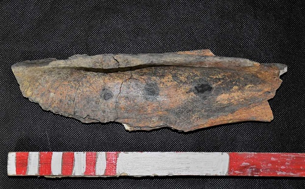 Обгорена конска кост, намерена в Русокастро, разкрива тайните си