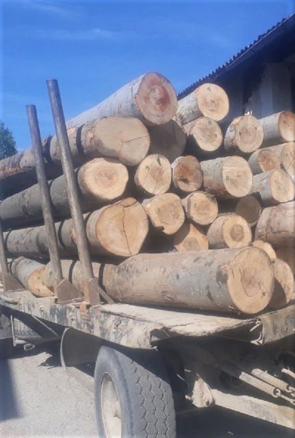 Горски инспектори спряха дейността на обект за складиране и преработване на дървесина в Етрополе