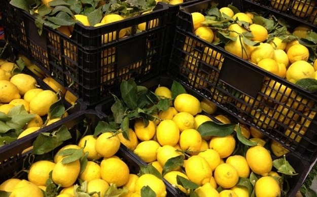 Засякоха на границата опасни лимони, внос от Турция