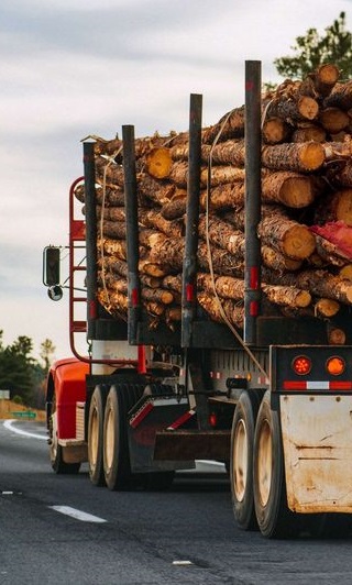 Министърът на земеделието забрани от 18 август износа на необработен дървен материал за срок от три месеца