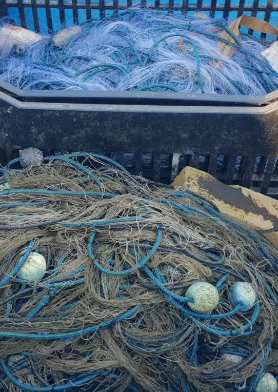 Риболовни инспектори извадиха 200 метра бракониерски мрежи с бяла риба, сом, лин и платика от езерото Дуранкулак