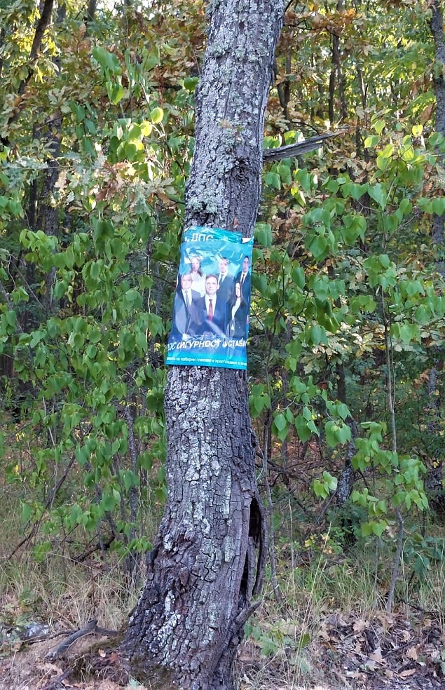 РИК – Бургас: Залепените по крайпътните дървета в Руенско предизборни плакати на ДПС трябва да се премахнат