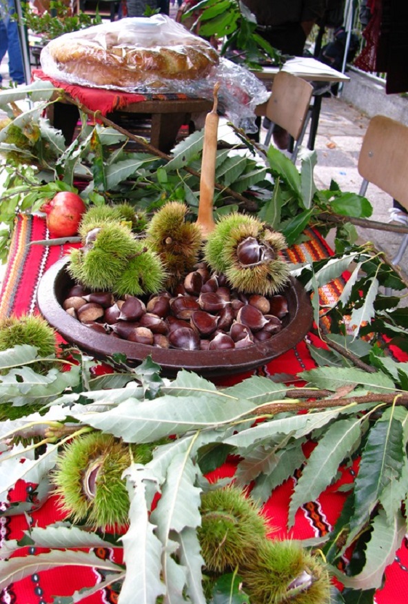 Традиционно приготвени ястия, разходки в планината, игри и местен фолклор на Фестивала на кестена в Коларово