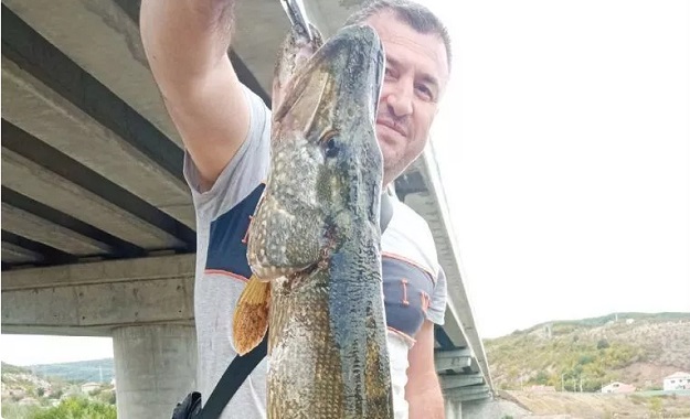 Рибар хвана огромна щука в река Върбица