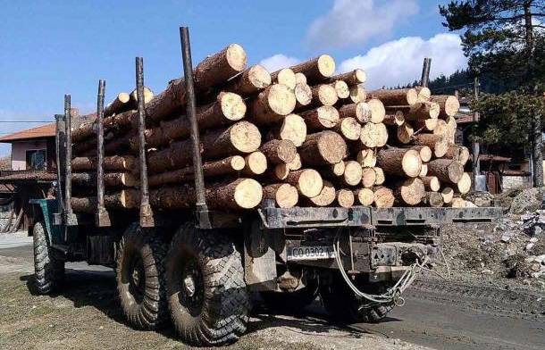 Горски инспектори задържаха в Бургас камион с незаконна дървесина