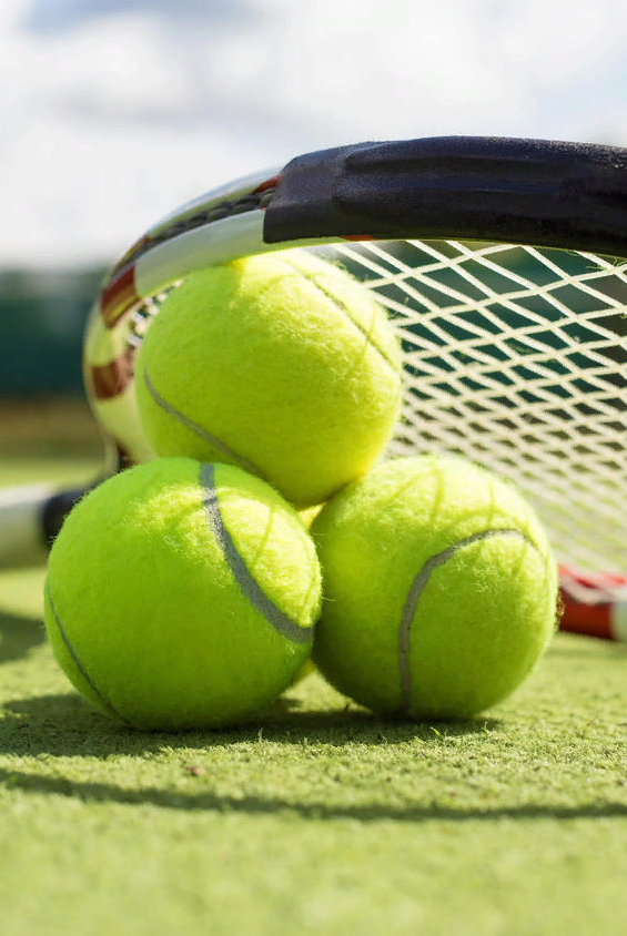 Българската федерация по тенис ще похарчи 200 хиляди лева без ДДС за закупуването на... тенис топки