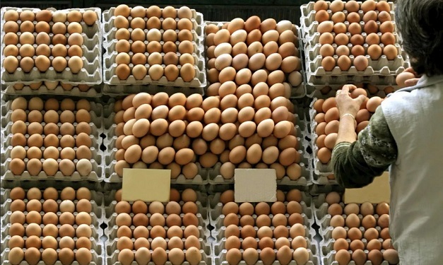 Евростат: Яйцата по-скъпи с 30% в целия Евросъюз