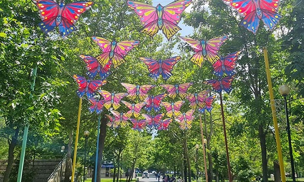 Пъстроцветни пеперуди „превзеха“ градския парк в Момчилград