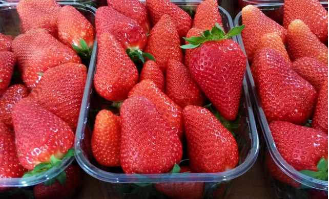 Масови нарушения с цената на ягодите
