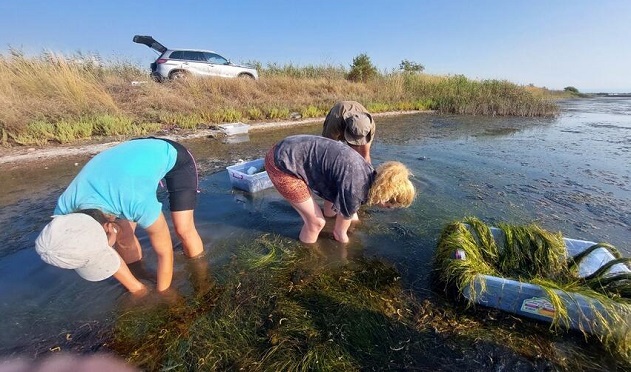 Възстановиха морската рупия в Атанасовско езеро