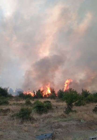 Поради високите температури и засушаването продължава да има висок риск от възникване на пожари