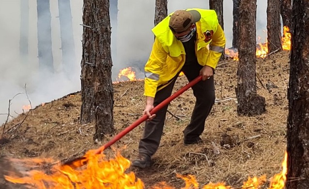 Август е най-опасният месец за възникване на горски пожари