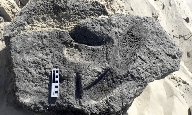 Намериха най-старите следи от предшественик на човека с обувки
