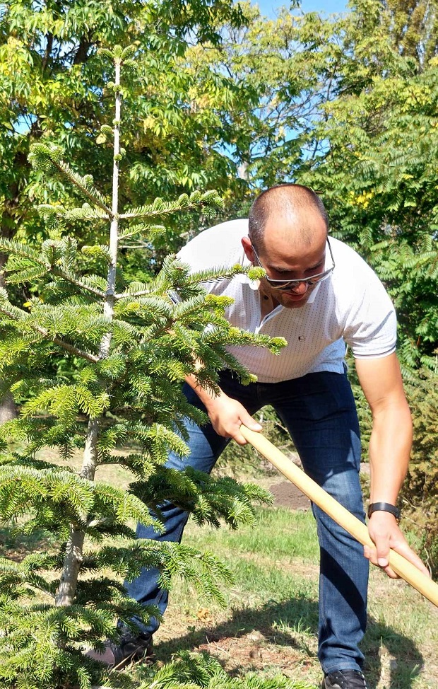 В края на мандата си общинските съветници от Бургас засадиха вечнозелени иглолистни дръвчета в парк „Езеро“