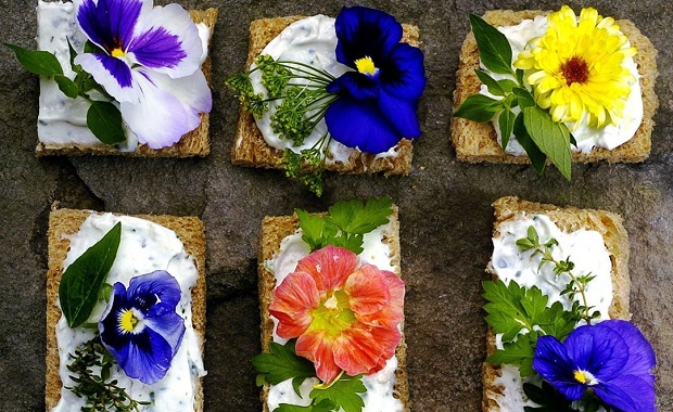 10 цветя, които стават за ядене и за приготвяне на вкусни блюда