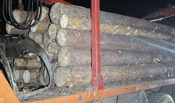 Задържаха край Белица камион с незаконна дървесина