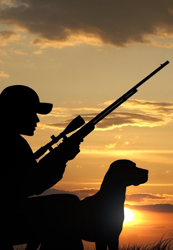 От началото на ловния сезон досега са извършени 55 700 проверки по Закона за лова и опазване на дивеча