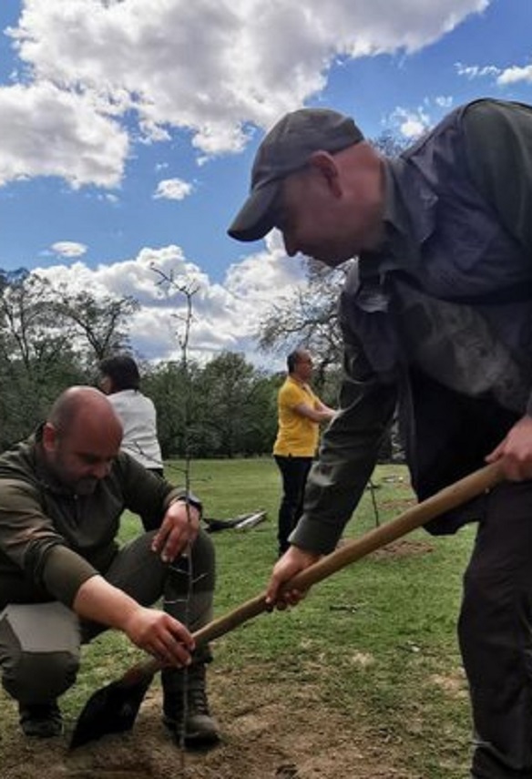 В Седмицата на гората в Държавно ловно стопанство „Кричим“ бяха засадени фиданки от дива круша и киселица