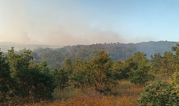 ИАГ: Пожарите в Сакар са овладяни