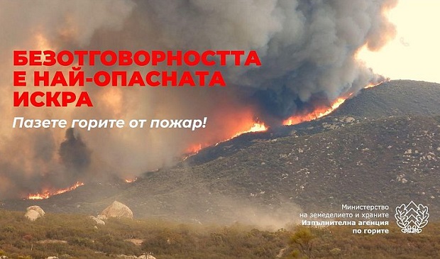 Установиха незаконна сеч на смърчове в Родопите