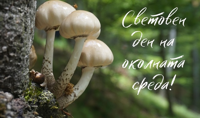 Отбелязваме Световния ден на околната среда