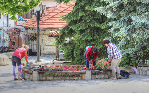 Мащабно пролетно-лятно зацветяване в Банско